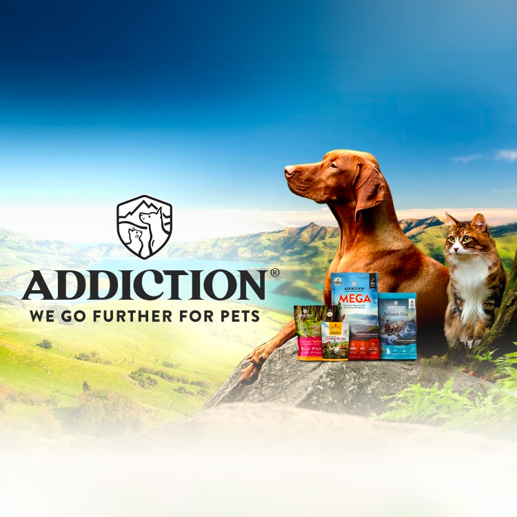 Addiction Food Pet